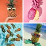 pineapple hd wallpapers android application logo